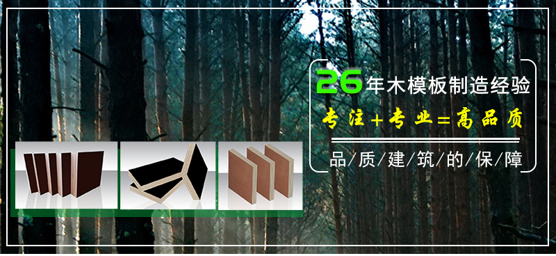 專注 專業(yè) 高品質(zhì) 清水圓柱模板 專注 專業(yè) 高品質(zhì) 清水圓柱模板