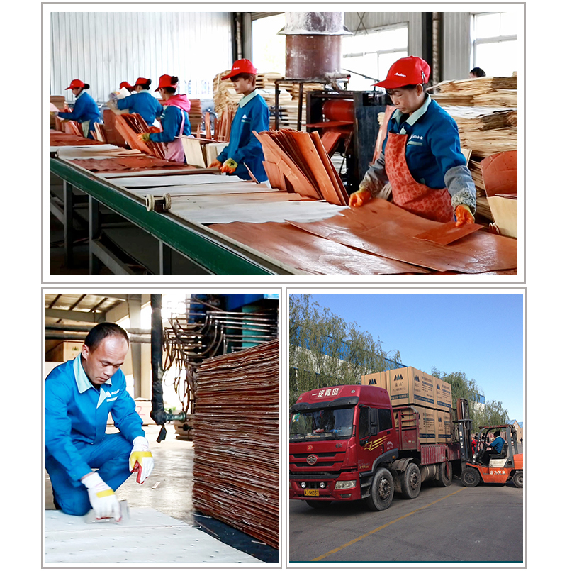 清水圓柱模板工廠展示 清水圓柱模板工廠展示