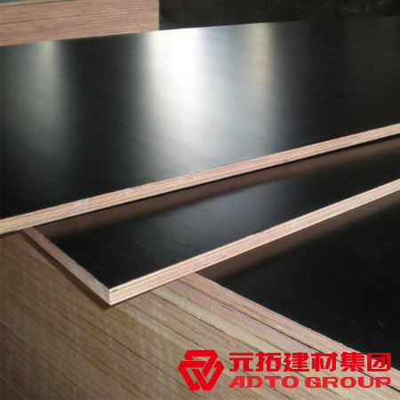 河北建筑木模板多少錢一張？河北木模板價格表？